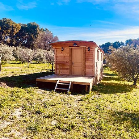 الشقق الفندقية لامبيسكفي  Domaine Amourella المظهر الخارجي الصورة