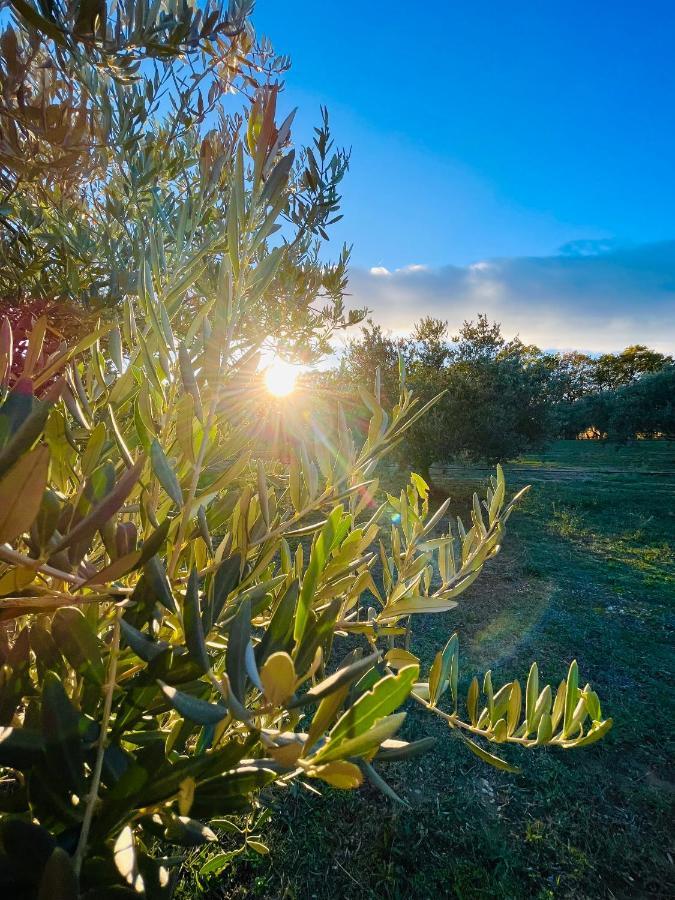 الشقق الفندقية لامبيسكفي  Domaine Amourella المظهر الخارجي الصورة