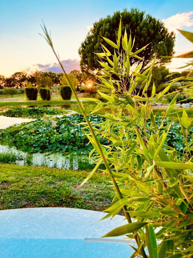 الشقق الفندقية لامبيسكفي  Domaine Amourella المظهر الخارجي الصورة