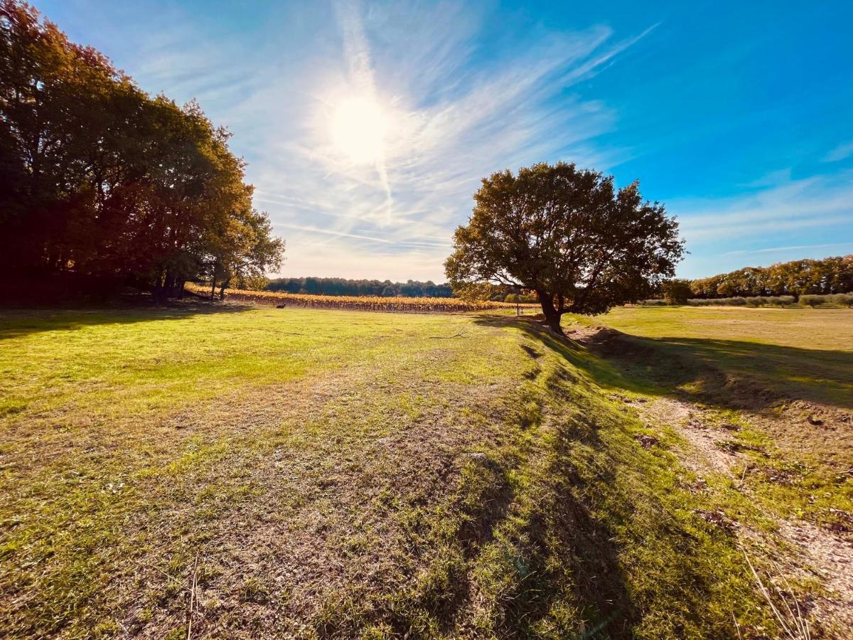 الشقق الفندقية لامبيسكفي  Domaine Amourella المظهر الخارجي الصورة